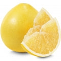 Illustration representing Grapefruit Fragrances