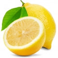Lemon Fragrances