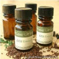 CO2 Extracts Fragrances - Shop inspired-by fragrances at Fragrenza