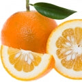 Illustration representing Bitter Orange Fragrances