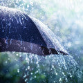 Rain Notes Fragrances - Shop inspired-by fragrances at Fragrenza