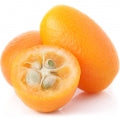 Kumquat Fragrances