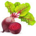 Beetroot Fragrances - Shop inspired-by fragrances at Fragrenza