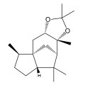 Ambrocenide Fragrances - Shop inspired-by fragrances at Fragrenza