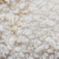 Wool Fragrances - Shop inspired-by fragrances at Fragrenza