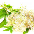 Meadowsweet Fragrances - Shop inspired-by fragrances at Fragrenza