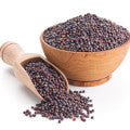 Mustard Seed Fragrances - Shop inspired-by fragrances at Fragrenza