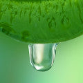 Green Sap Fragrances - Shop inspired-by fragrances at Fragrenza