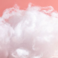 Cosmone Fragrances - Shop inspired-by fragrances at Fragrenza