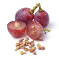Grape Seed Fragrances - Shop inspired-by fragrances at Fragrenza