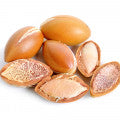 Argan Fragrances - Shop inspired-by fragrances at Fragrenza