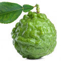 Illustration representing Kaffir Lime Fragrances