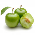 Greengage Fragrances - Shop inspired-by fragrances at Fragrenza