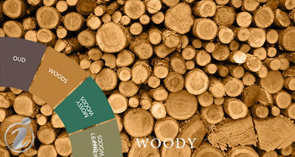Arabian Wood by Tom Ford Woody Fragrances dupe