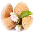 Almond note