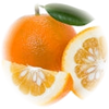 Bitter Orange note — Bitter Orange Fragrances