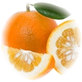 Bitter Orange note
