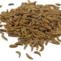 Caraway note