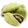 Cardamom note