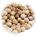 Coriander note