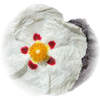 Labdanum note — Labdanum Fragrances