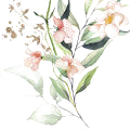 Mahonial note