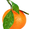 Mandarin note — Mandarin Orange Fragrances