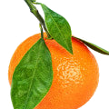 Mandarin note
