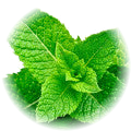 Mint note