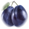 Plum note — Plum Fragrances