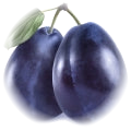 Plum note