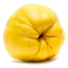 Quince note — Quince Fragrances