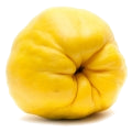Quince note