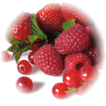 Red Fruits note