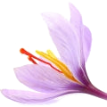 Saffron note