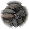 Tonka Bean note — Tonka Bean Fragrances