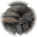 Tonka Bean note