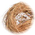 Vetiver note