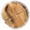 Woody Notes note — Woody Notes Fragrances