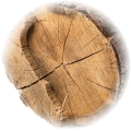 Woody Notes note