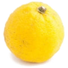 Yuzu note — Yuzu Fragrances